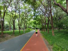 -大兴滨河森林公园
