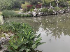 -亭林园-华藏寺