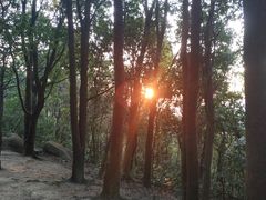 -火炉山森林公园