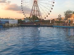 -三亚海昌梦幻海洋不夜城