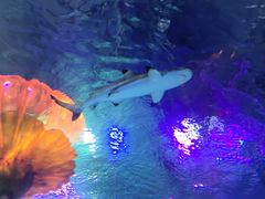 -沈阳海洋探索中心