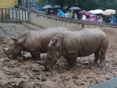 -西安秦岭野生动物园