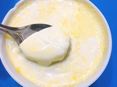 -德禄酸奶(莫家街店)