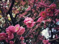 -静安雕塑公园