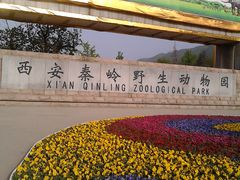 -秦岭欢乐世界