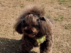 -小意思咖啡店(草桥店)