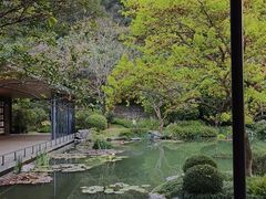 -云溪植物园
