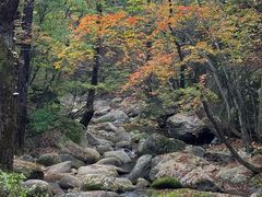 -丹东天桥沟景区