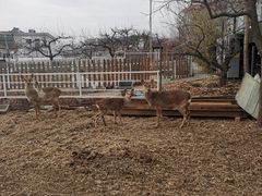 -丽泽山庄·生态怀柔菜·虹鳟鱼(红螺寺店)