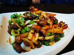 -杨肥肠火锅大排档(火车站花园店)