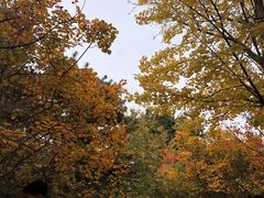-香山公园