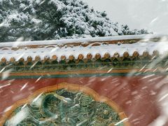 -北陵公园