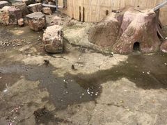-无锡动物园·太湖欢乐园