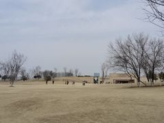 -盘龙城国家考古遗址公园