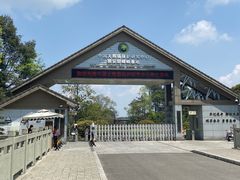 -中国大熊猫保护研究中心雅安碧峰峡基地