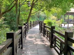 -白马涧龙池景区