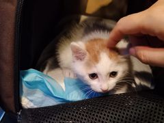 -达爱动物医院·犬猫分区·CT·复杂眼科(远洋山水分院)