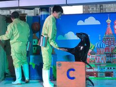 -成都浩海立方海洋公园