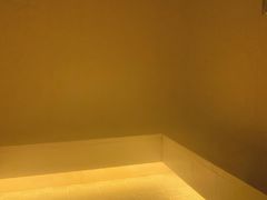-上海璞麗酒店