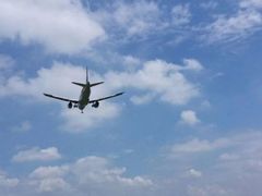-空港花田景区