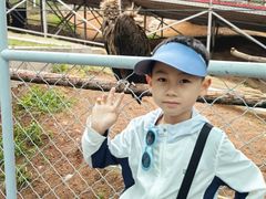 -西霞口神雕山野生动物世界