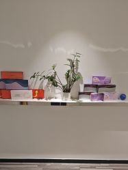 -AiCure 埃可儿·韩国医学皮肤管理