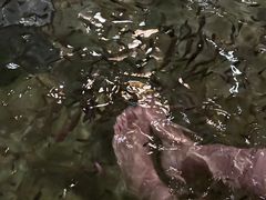 -天目湖涵田半山温泉水乐园