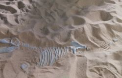 -恐龙探索乐园(磁器口店)