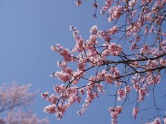 -吉林大学(南岭校区)