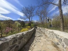 -阳台山自然风景区