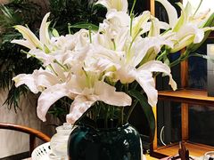 -芙蓉堂(武汉天地店)