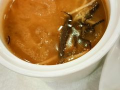 -欢乐海岸美食联盟