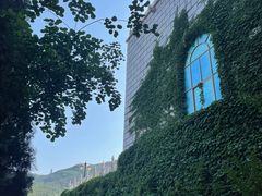 -龙口南山旅游景区