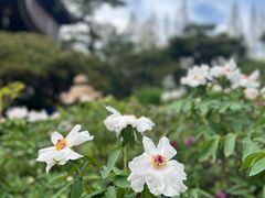 -龙华寺