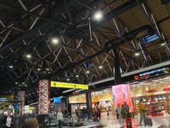 -谢列梅捷沃国际机场