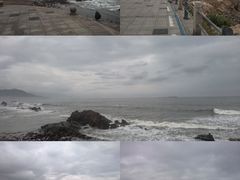 -海合安青岛极地海洋公园