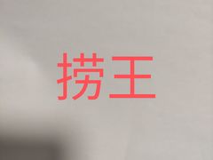 -捞王猪肚鸡火锅(财富中心店)