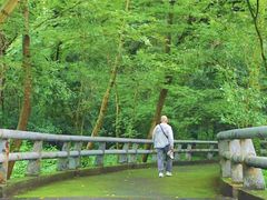 -西湖风景区-江洋畈生态公园