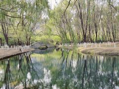 -长白岛森林公园