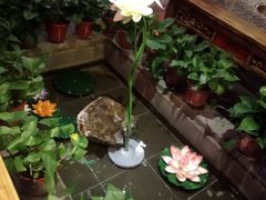 -蜀大侠火锅(国际购物店)