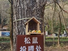 -五泄景区