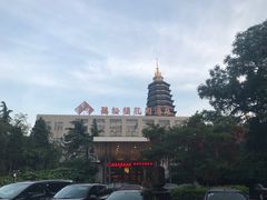 -听松楼·花园酒店·自助餐厅(红梅公园店)