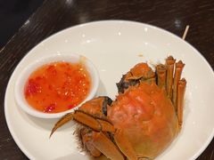 -美食汇·海鲜自助餐·家庭聚会·商务宴请(青秀万达文华店)