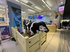 -红星前进面包牛奶公司(君太店)