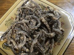 -乐山第一家临江鳝丝(茶坊路店)