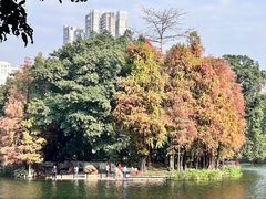 -荔湾湖公园