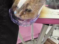 -FAELING PETS美天灵宠物(富力广场店)