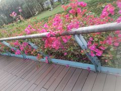 -人民公园(罗湖区)