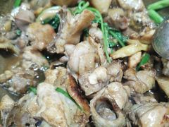 -华仔土鸡店(南洲分店)