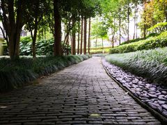 -陈家山荷花公园